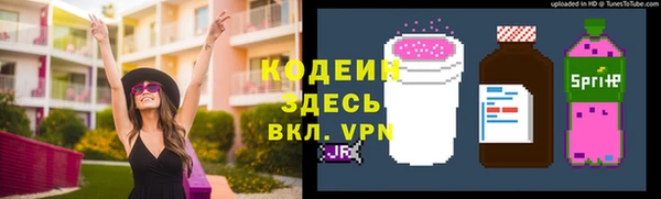 шишки Магас
