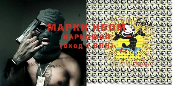 шишки Магас